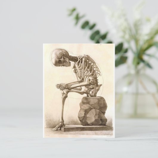 skelet briefkaart (Staand voorkant)