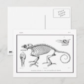  skelet briefkaart (Voorkant / Achterkant)