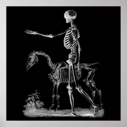 Skelet- en paardenhalloween decor-Poster BW3 Poster (Voorkant)