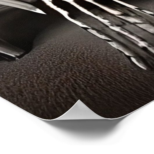 Skelet en schedel | AI Art Poster (Hoek)