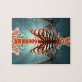 Skelet en zenuwen legpuzzel (Horizontaal)