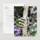 Skelet - Gothic / Postkarte Briefkaart (Voorkant / Achterkant)