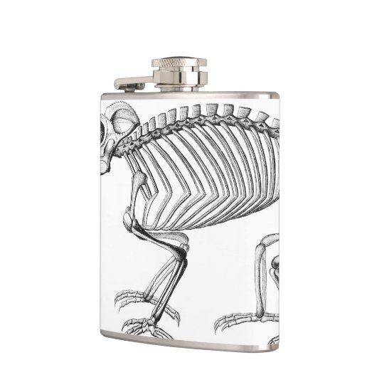 skelet heupfles (Links)