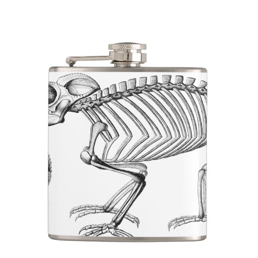 skelet heupfles (Voorkant)