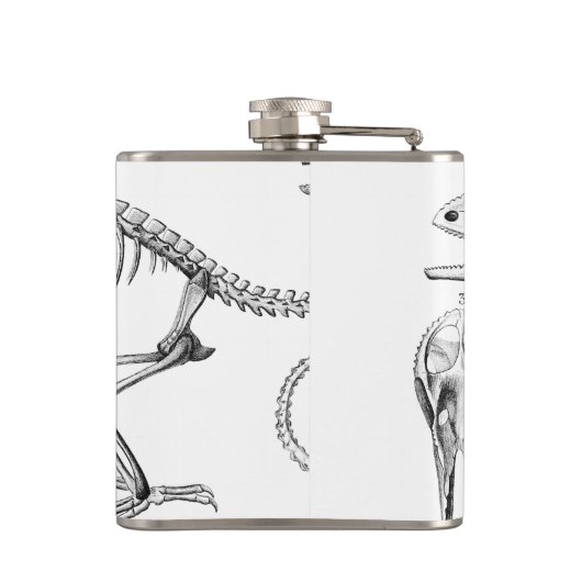  skelet heupfles (Achterkant)