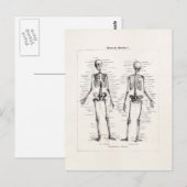 Skelet Humaan Anatomie Bot Botten Briefkaart (Voorkant / Achterkant)