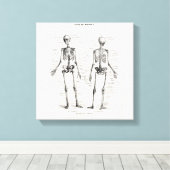 Skelet Humaan Anatomie Bot Botten Canvas Afdruk (Insitu (Houten vloer))