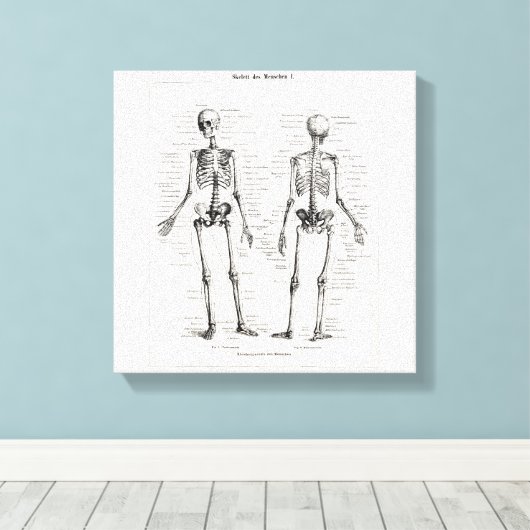 Skelet Humaan Anatomie Bot Botten Canvas Afdruk (Insitu (Houten vloer))