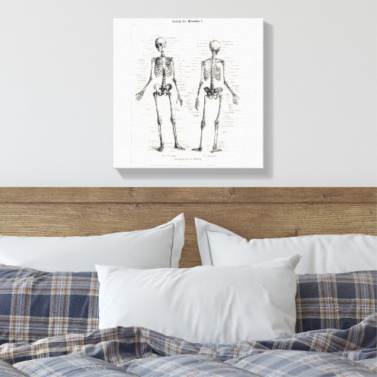 Skelet Humaan Anatomie Bot Botten Canvas Afdruk (Insitu (Slaapkamer))