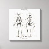 Skelet Humaan Anatomie Bot Botten Canvas Afdruk (Voorkant)