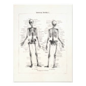  Skelet Humaan Anatomie Bot Botten Foto Afdruk (Voorkant)