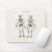  Skelet Humaan Anatomie Bot Botten Muismat (Met muis)