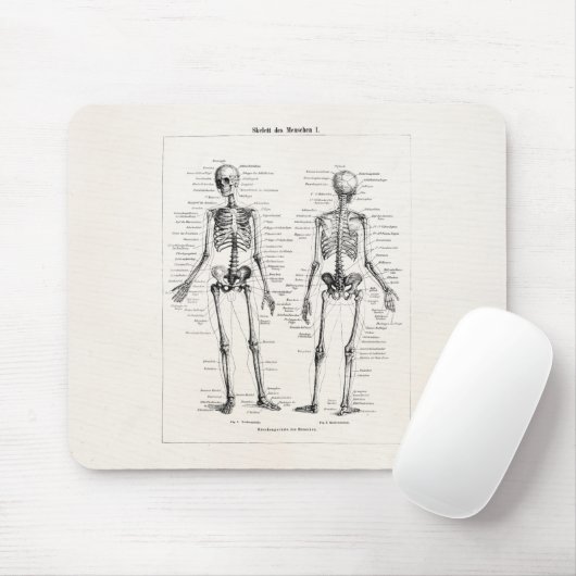 Skelet Humaan Anatomie Bot Botten Muismat (Met muis)