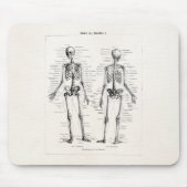 Skelet Humaan Anatomie Bot Botten Muismat (Voorkant)