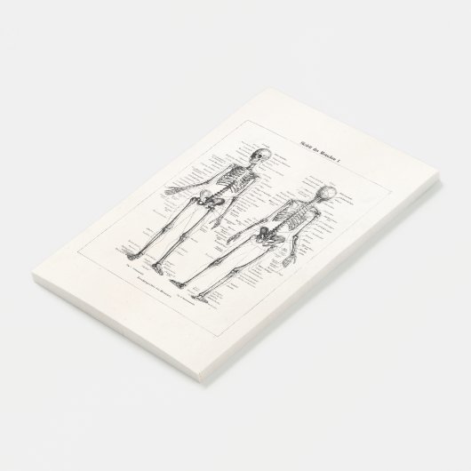  Skelet Humaan Anatomie Bot Botten Post-it® Notes (Schuin)