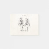 Skelet Humaan Anatomie Bot Botten Post-it® Notes (Voorkant)