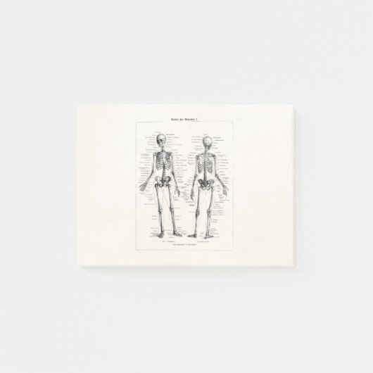Skelet Humaan Anatomie Bot Botten Post-it® Notes (Voorkant)