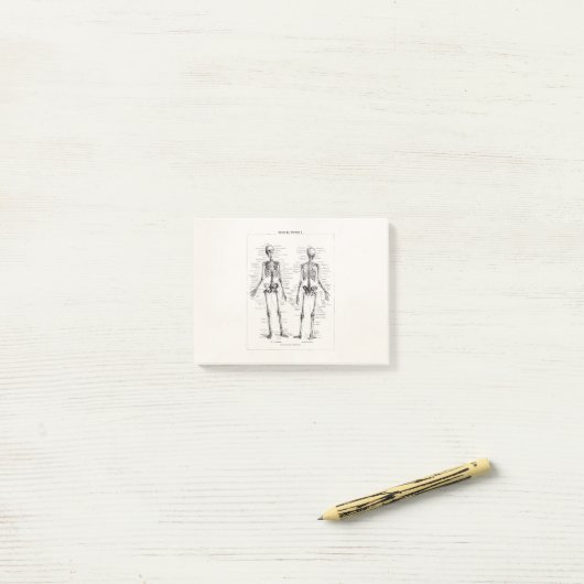 Skelet Humaan Anatomie Bot Botten Post-it® Notes (Op bureau)