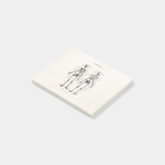 Skelet Humaan Anatomie Bot Botten Post-it® Notes (Schuin)