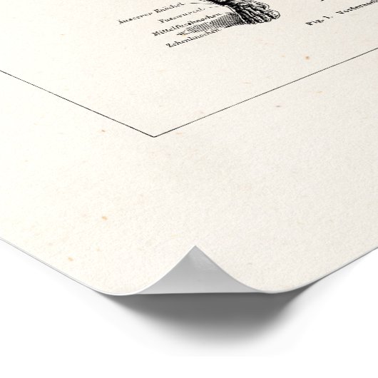  Skelet Humaan Anatomie Bot Botten Poster (Hoek)