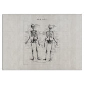 Skelet Humaan Anatomie Bot Botten Snijplank (Voorkant)