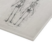 Skelet Humaan Anatomie Bot Botten Snijplank (Hoek)