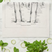 Skelet Humaan Anatomie Bot Botten Theedoek (Gevouwen)