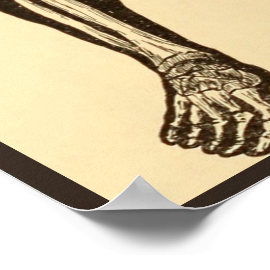  skelet illustratie verouderd grillig poster (Hoek)