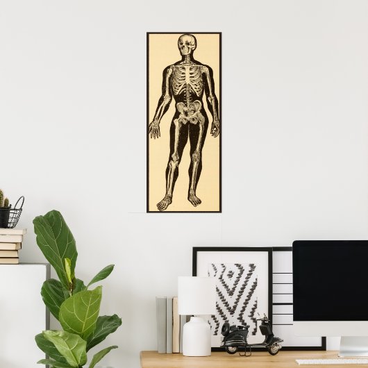  skelet illustratie verouderd grillig poster (Thuiskantoor)