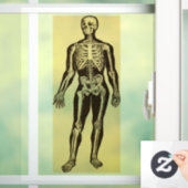 skelet illustratie verouderd grillig raamsticker (Huis)