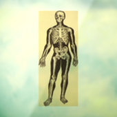 skelet illustratie verouderd grillig raamsticker (Vel 3)