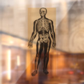 skelet illustratie verouderd grillig raamsticker (Vel 2)