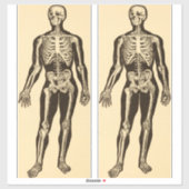 skelet illustratie verouderd grillig sticker (Vel)