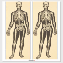  skelet illustratie verouderd grillig sticker