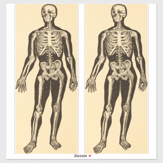  skelet illustratie verouderd grillig sticker (Vel)