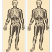  skelet illustratie verouderd grillig sticker (Voorkant)