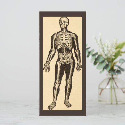  skelet illustratie verouderd grillig vlak (Staand voorkant)