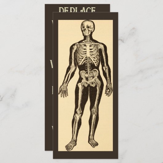 skelet illustratie verouderd grillig vlak (Voorkant / Achterkant)