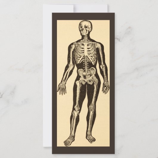 skelet illustratie verouderd grillig vlak (Voorkant)