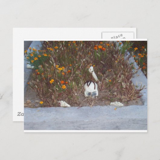 Skelet in Marigolds Briefkaart (Voorkant / Achterkant)