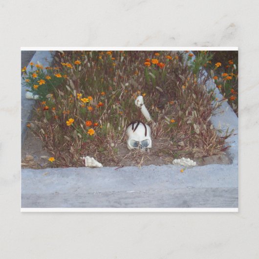 Skelet in Marigolds Briefkaart (Voorkant)