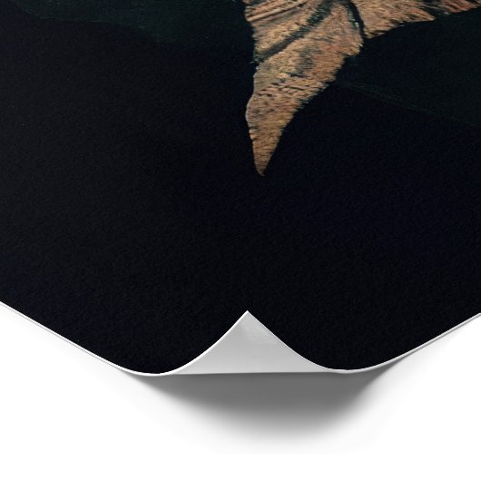 Skelet in Planten Poster (Hoek)