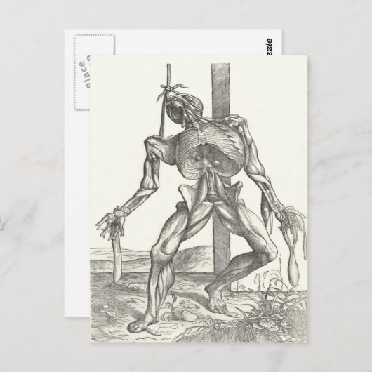 Skelet Kadaver Corpse Anatomie Medisch Briefkaart (Voorkant / Achterkant)