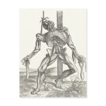 Skelet Kadaver Corpse Anatomie Medisch