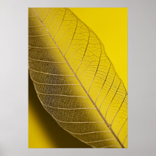 Skelet Leaf Yellow Poster