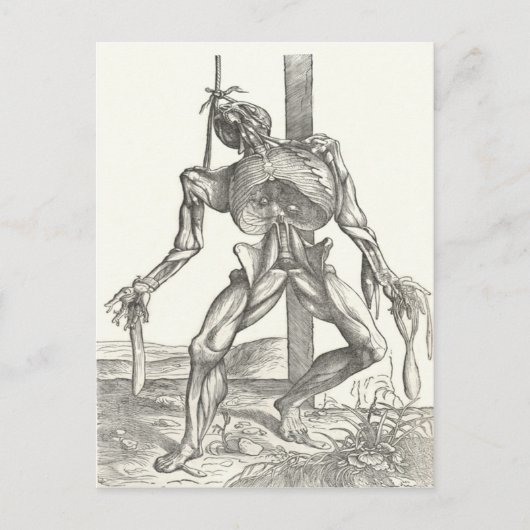 Skelet Lijk Lijk Anatomie Medisch Briefkaart (Voorkant)