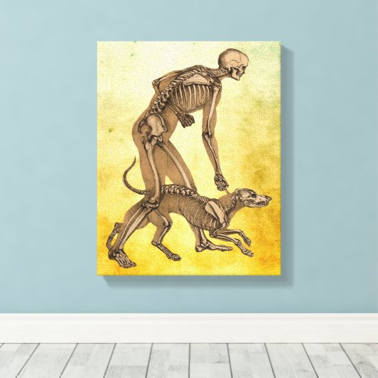 skelet man en hond menselijke anatomie kunst canvas afdruk (Insitu (Houten vloer))