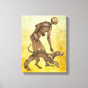 skelet man en hond menselijke anatomie kunst canvas afdruk