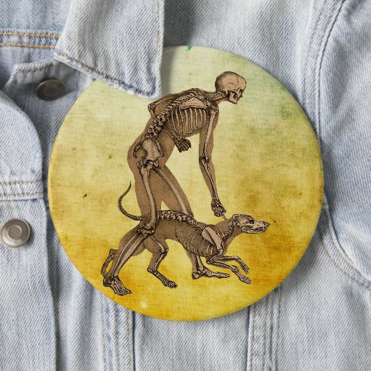 skelet man en hond menselijke anatomie kunst , maa ronde button 6,0 cm (In situ)