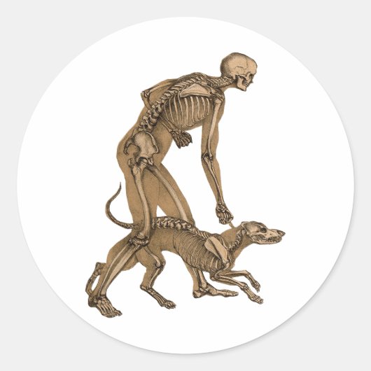 skelet man en hond menselijke anatomie kunst ronde sticker (Voorkant)